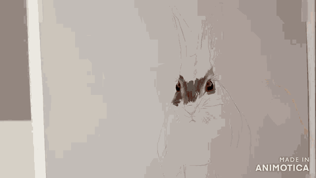 a person is drawing a rabbit on a piece of paper with the words made in animotica below it