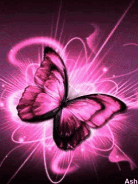 a pink butterfly is flying on a pink background