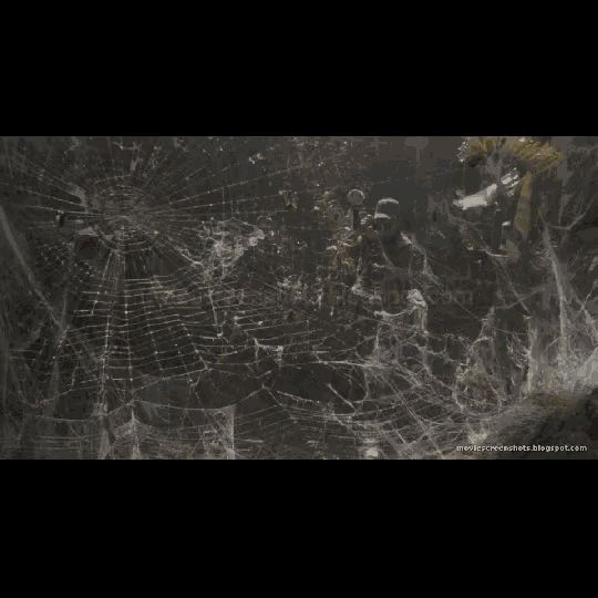 a gray and gold background with a spider web design