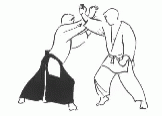 Aikido GIF - Aikido GIFs