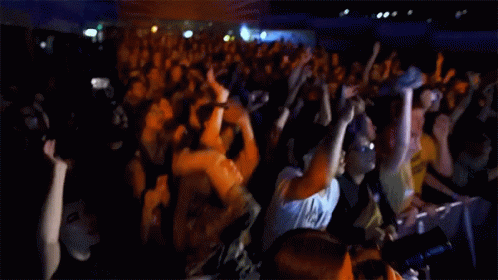 Cheering Crowd GIF - Cheering Crowd Party GIFs