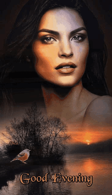 a painting of a woman and a bird with the words good evening on the bottom
