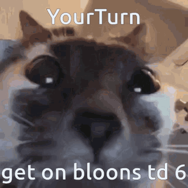 Get On Bloons Td6 GIF - Get On Bloons Td6 GIFs