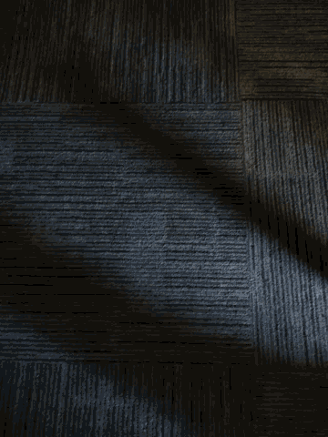 Flooring Carpet GIF - Flooring Carpet Nothing GIFs