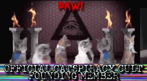 Dawi Cat GIF - Dawi Cat Cult GIFs