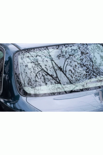 Windshield Replacement Companies Near Me Free Auto Glass Replacement GIF - Windshield Replacement Companies Near Me Free Auto Glass Replacement GIFs