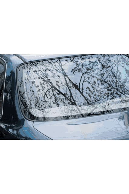 a close up of a car windshield with trees reflected