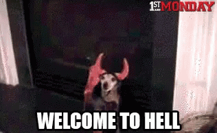 Welcome To Hell Devil GIF - Welcome To Hell Devil Dog GIFs