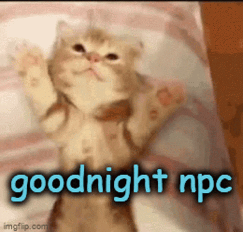 Goodnight Npc Npc GIF - Goodnight Npc Npc Goodnight GIFs
