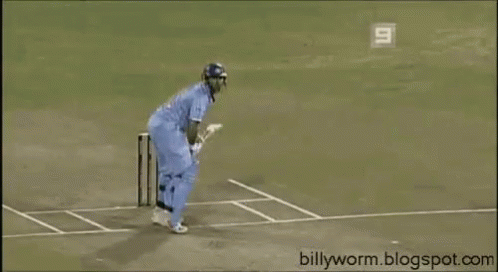 Cricket Game GIF - Cricket Game Sports GIFs