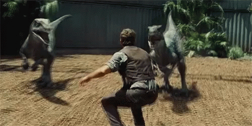 Chris Pratt Velociraptor GIF - Chris Pratt Velociraptor Jurassic World GIFs