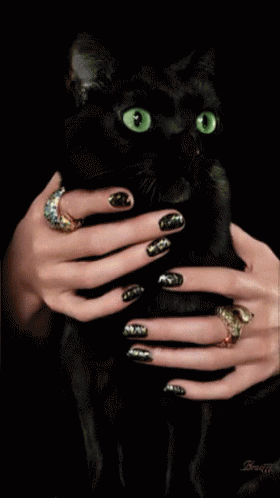 Black Cat GIF - Black Cat Fingers GIFs