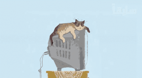 a cat is laying on top of a television with arabic writing on the bottom