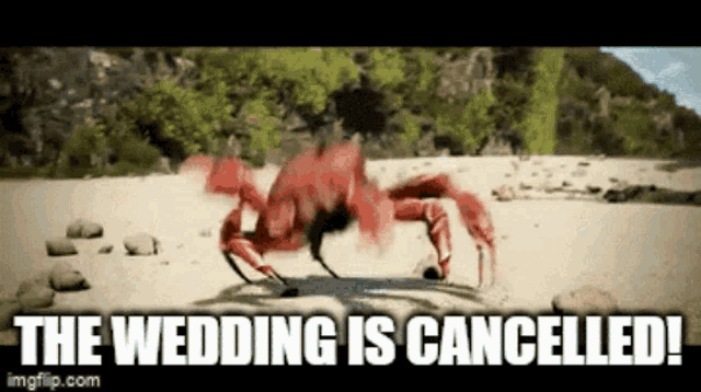 Crab Wedding Crab Rave Wedding GIF - Crab Wedding Crab Rave Wedding GIFs
