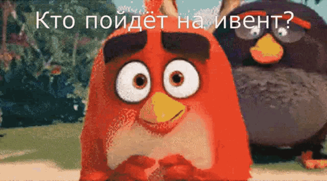 two angry birds are standing next to each other with the words " kto poydet ha iveht " on the bottom right