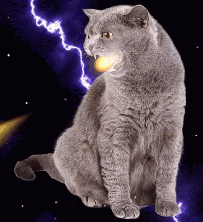 Angry Cat Firebreathing GIF - Angry Cat Firebreathing GIFs