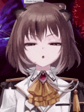 a close up of a girl 's face with the word sheila on the bottom left