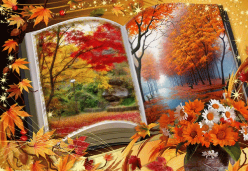 őszi Könyv GIF - őszi Könyv GIFs