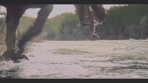 a picture of a river with the word robin on the bottom right