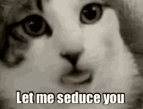 a cat is saying let me seduce you with its tongue out .