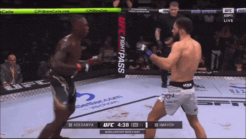 two men are fighting in a cage with ufc fight pass in the background