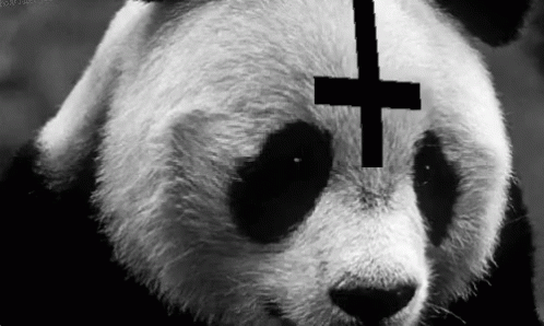 Haç GIF - Hac Panda GIFs