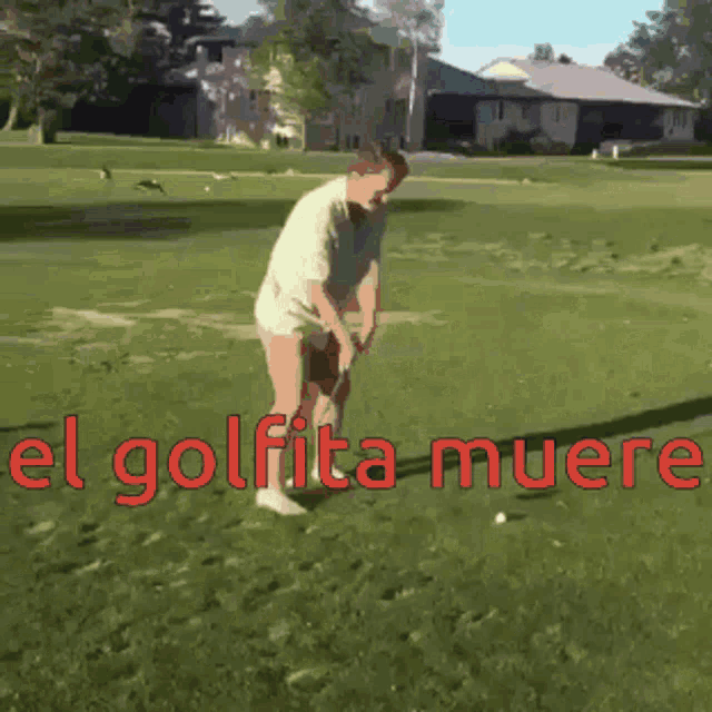 El Golfita Muere Golf GIF - El Golfita Muere Golf Hit By A Golf Car GIFs