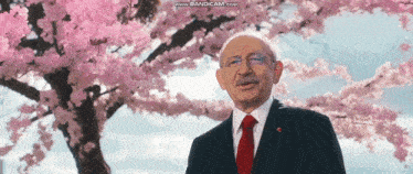 a man in a suit and tie is standing in front of a cherry blossom tree