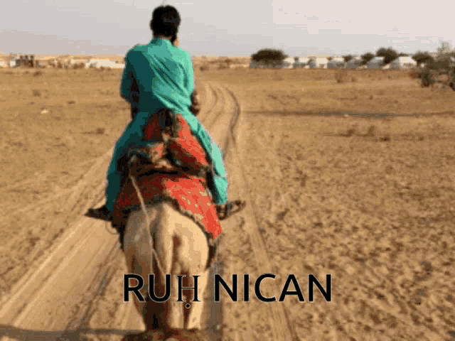 a person riding a camel on a dirt road with the name ruh nican written on the bottom