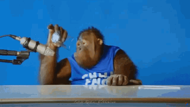 a monkey wearing a blue shirt that says " chill eng " is drinking from a bottle