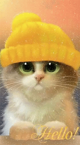Hello Cat GIF - Hello Cat Christmas GIFs