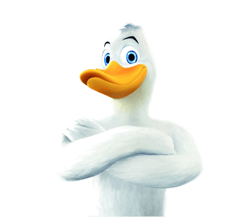 a white duck with blue eyes and a yellow beak stands with his arms crossed