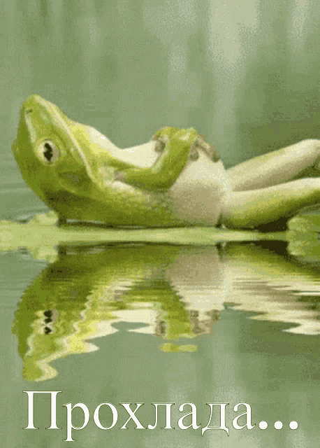 a frog is laying on a lily pad in the water with the word proxlada written below it