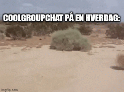 Cool Group GIF - Cool Group Chat GIFs