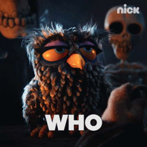 Who Stacy The Owl GIF - Who Stacy The Owl The Barbarian And The Troll GIFs