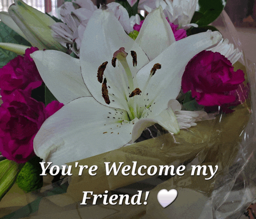a bouquet of flowers with the words you 're welcome my friend below it
