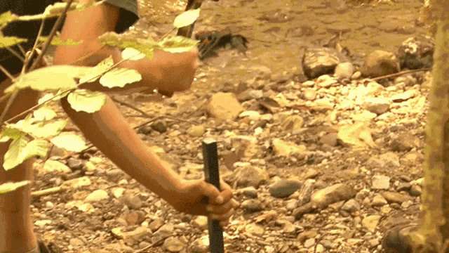 a person is holding a stick in their hand in a rocky area