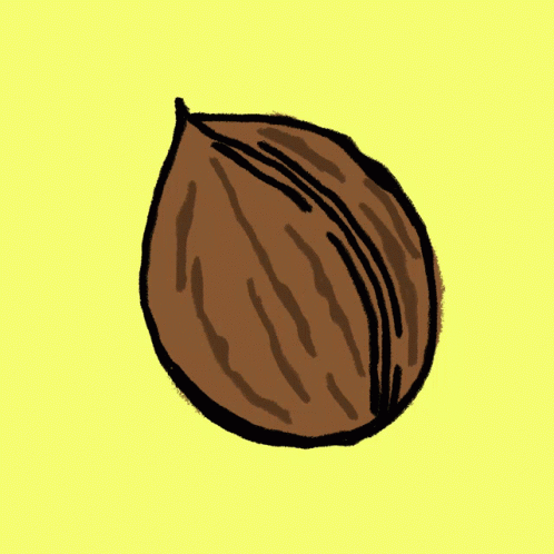 Nuss Nut GIF - Nuss Nut Walnut GIFs