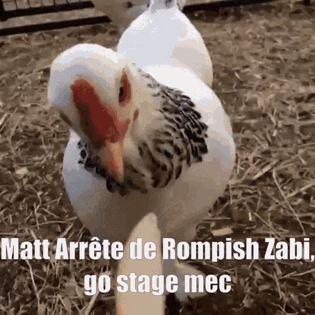 Matt Matt Rompish GIF - Matt Matt Rompish Matt Stage GIFs
