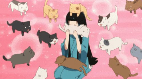 a girl is surrounded by a bunch of cats one of which is laying on her head