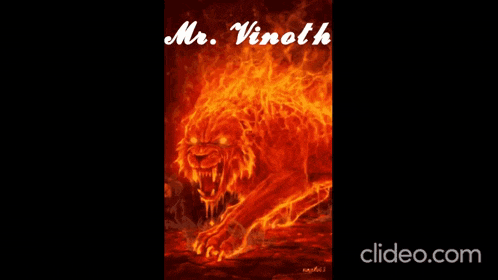 a picture of a lion with the name mr. vinoth