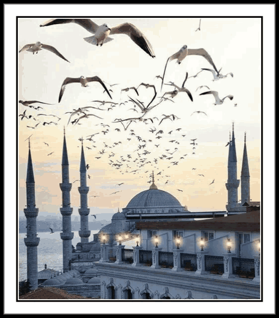 a large flock of seagulls flying over a mosque