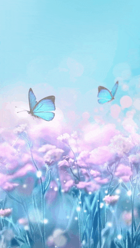 two butterflies are flying over a field of flowers