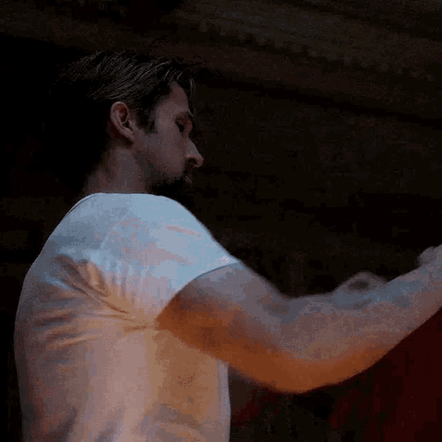 Court Gentry GIF