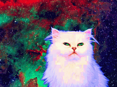 Space Kitten GIF - Space Kitten Glowing Cat GIFs