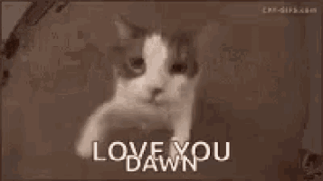 a black and white photo of a cat with the words love you dawn written on it