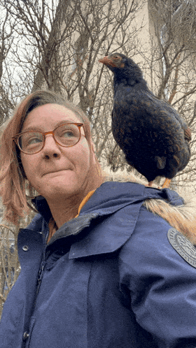 a woman in a blue jacket has a chicken on her back