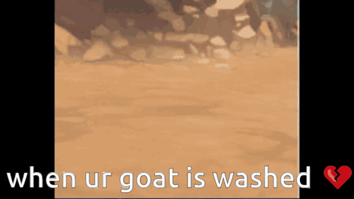 When Your GIF - When Your Goat GIFs