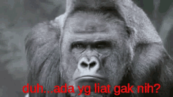 a gorilla with the words duh ada yg liat ga nih