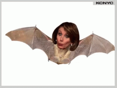 Nancy Pelosi Crazy GIF - Nancy Pelosi Crazy Bats GIFs
